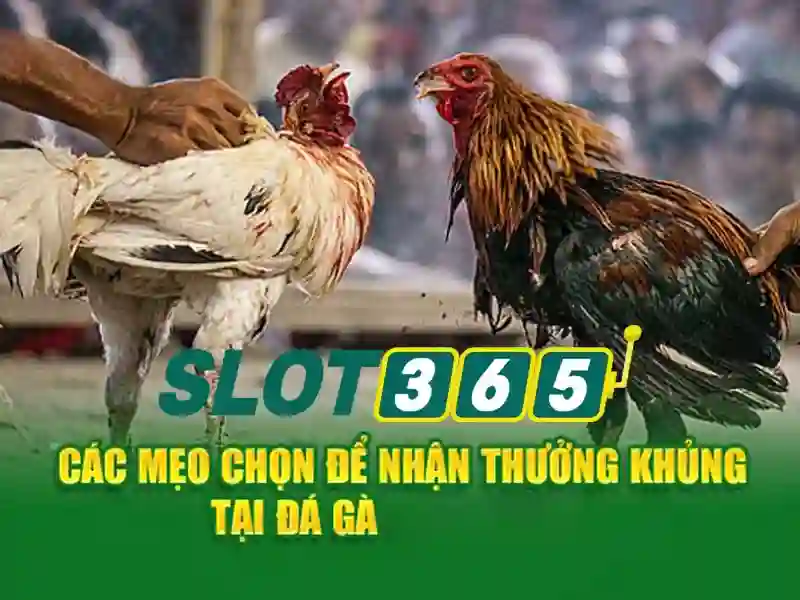 hướng phát triển và tầm nhìn tương lai