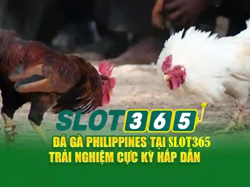 Khuyến mãi và chương trình thưởng