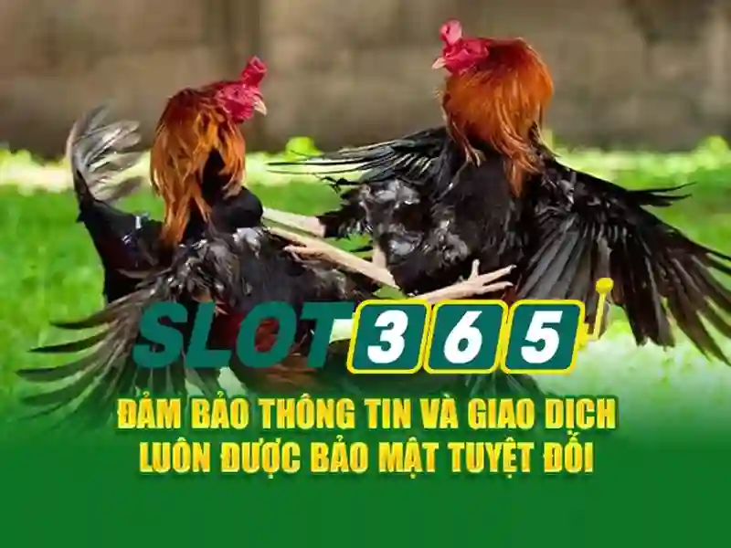 đăng nhập Slot365 – Tổng quan về chủ đề và giá trị cốt lõi