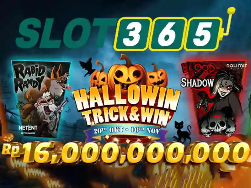 Slot365 là gì? Slot365 là gì?
