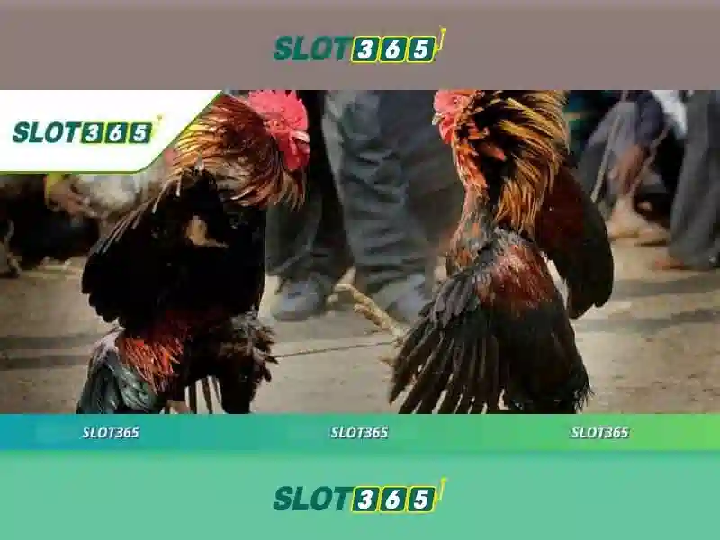 Tại sao chọn Slot365 cho slot trực tuyến?