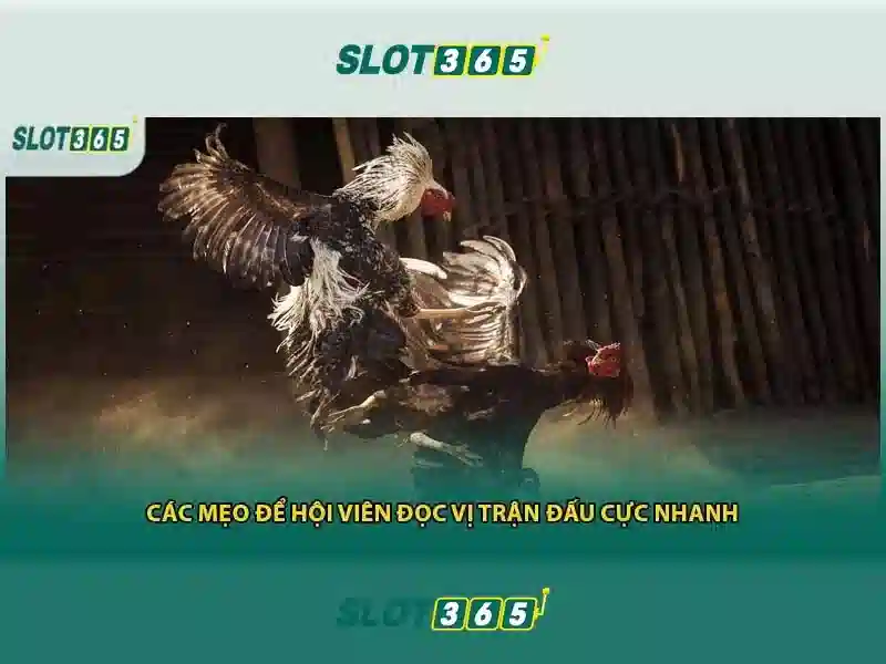 Slot365: Nền tảng chơi slot trực tuyến uy tín tại Việt Nam<p>Slot365 là một nền tảng chơi slot trực tuyến được thiết kế để đáp ứng nhu cầu của người chơi ở Việt Nam với sự an toàn, thanh toán nhanh và trải nghiệm mượt mà.</p><h2>Trải nghiệm người dùng tại Slot365</h2><p>Giao diện người dùng được tối ưu cho di động và máy tính để bàn, cho phép người chơi dễ dàng truy cập các trò chơi phổ biến nhất, tìm kiếm theo nhà cung cấp và cược theo ngân sách.</p><h2>Các trò chơi nổi bật và khuyến mãi</h2><p>Slot365 cung cấp nhiều tựa slot từ các nhà cung cấp hàng đầu, cùng với chương trình khuyến mãi định kỳ, vòng quay miễn phí và tiền thưởng khi nạp lần đầu. Đăng ký nhanh chóng, bảo mật cao và hỗ trợ khách hàng 24/7.</p> Slot365: Nền tảng chơi slot trực tuyến uy tín tại Việt Nam<p>Slot365 là một nền tảng chơi slot trực tuyến được thiết kế để đáp ứng nhu cầu của người chơi ở Việt Nam với sự an toàn, thanh toán nhanh và trải nghiệm mượt mà.</p><h2>Trải nghiệm người dùng tại Slot365</h2><p>Giao diện người dùng được tối ưu cho di động và máy tính để bàn, cho phép người chơi dễ dàng truy cập các trò chơi phổ biến nhất, tìm kiếm theo nhà cung cấp và cược theo ngân sách.</p><h2>Các trò chơi nổi bật và khuyến mãi</h2><p>Slot365 cung cấp nhiều tựa slot từ các nhà cung cấp hàng đầu, cùng với chương trình khuyến mãi định kỳ, vòng quay miễn phí và tiền thưởng khi nạp lần đầu. Đăng ký nhanh chóng, bảo mật cao và hỗ trợ khách hàng 24/7.</p>