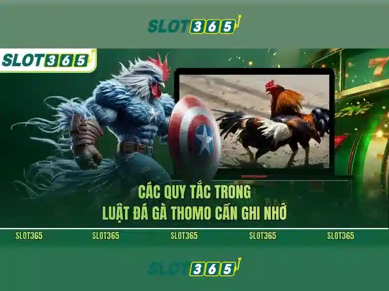 slot365 xxvip – Tổng quan chủ đề và giá trị cốt lõi slot365 xxvip – Tổng quan chủ đề và giá trị cốt lõi