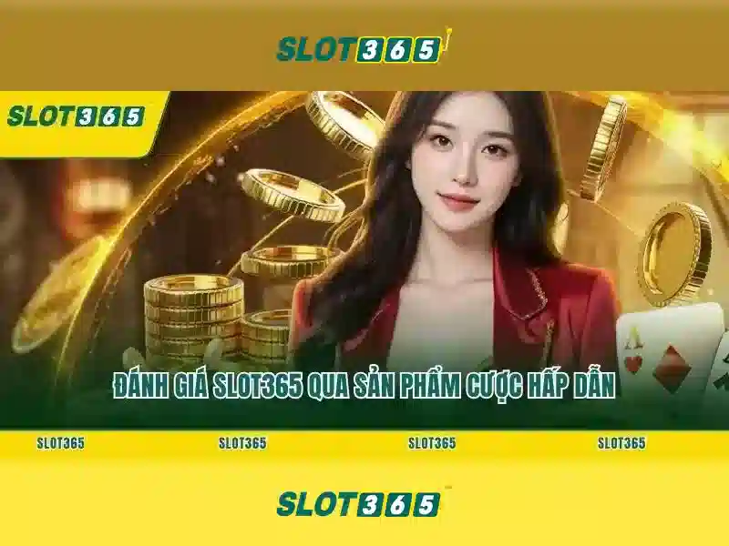 Slot365 là gì? Slot365 là gì?