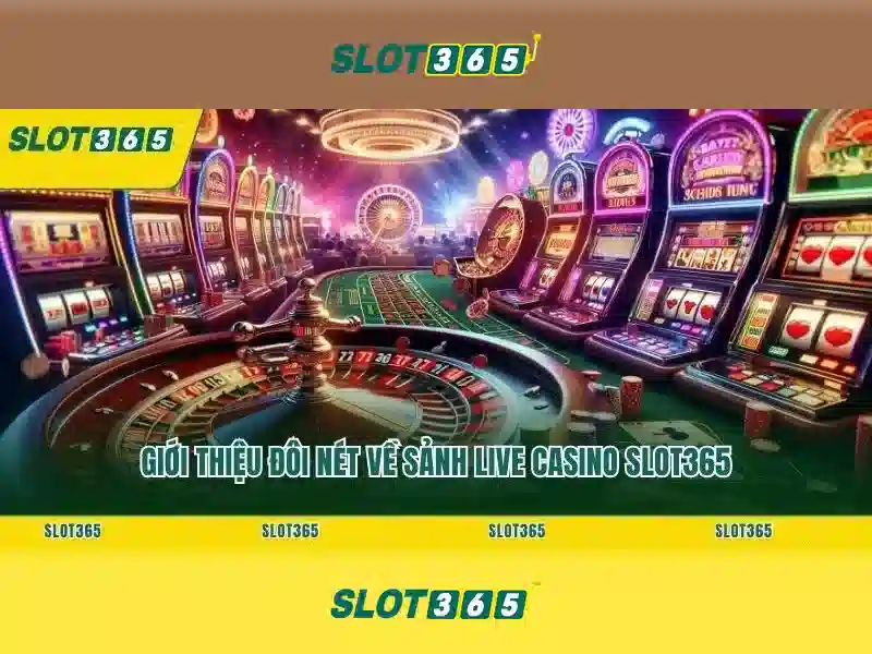 Slot365 nổ hũ - trải nghiệm đỉnh cùng hoki slot365 và bắn cá Slot365 Go88