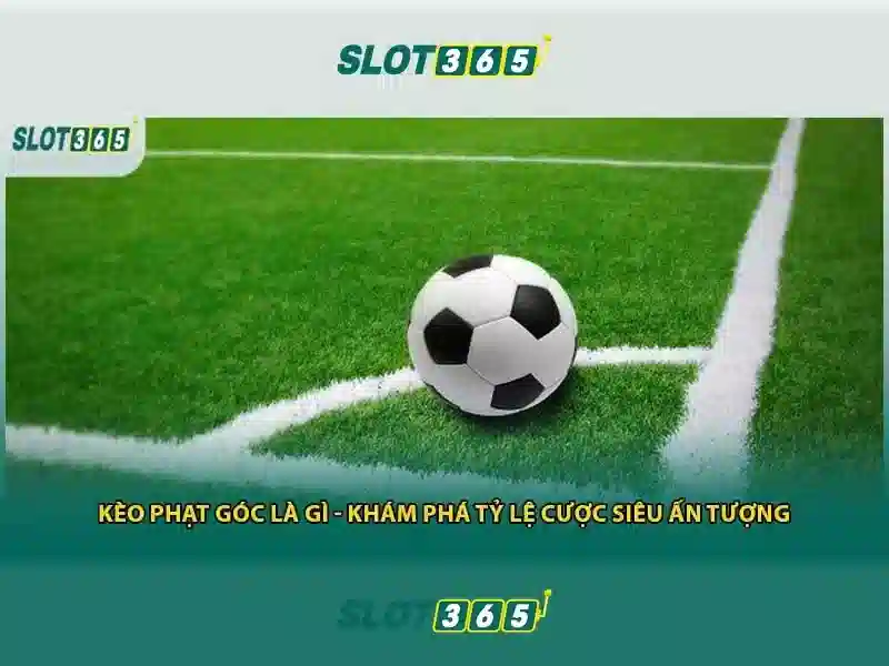 slot365 vip – Tổng quan chủ đề và giá trị cốt lõi