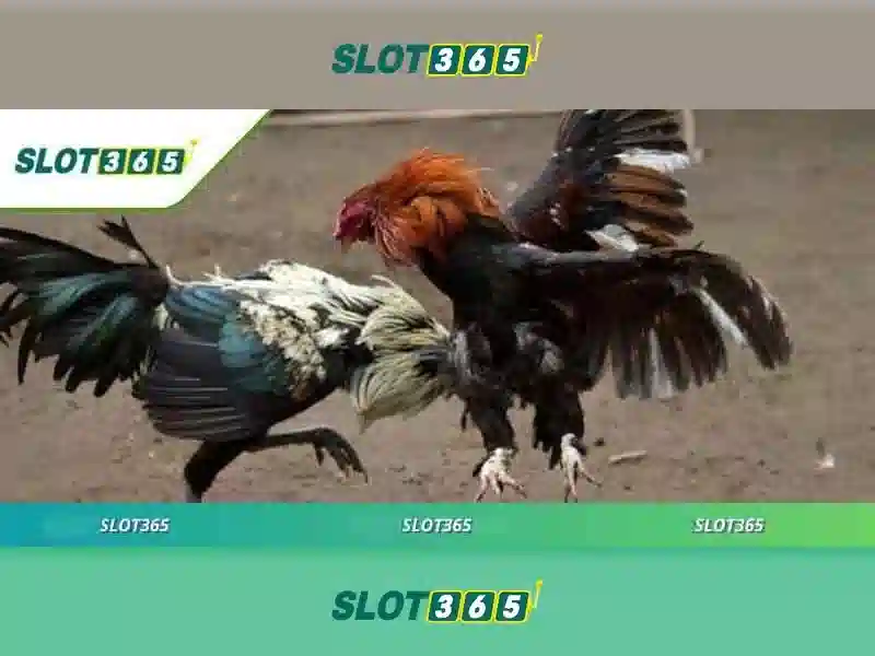 slot365 login link – Kết nối an toàn và trải nghiệm slot365 1 Đăng Nhập