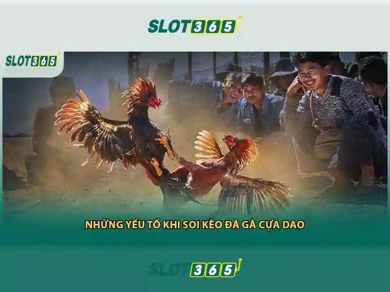 Khuyến mãi và an toàn