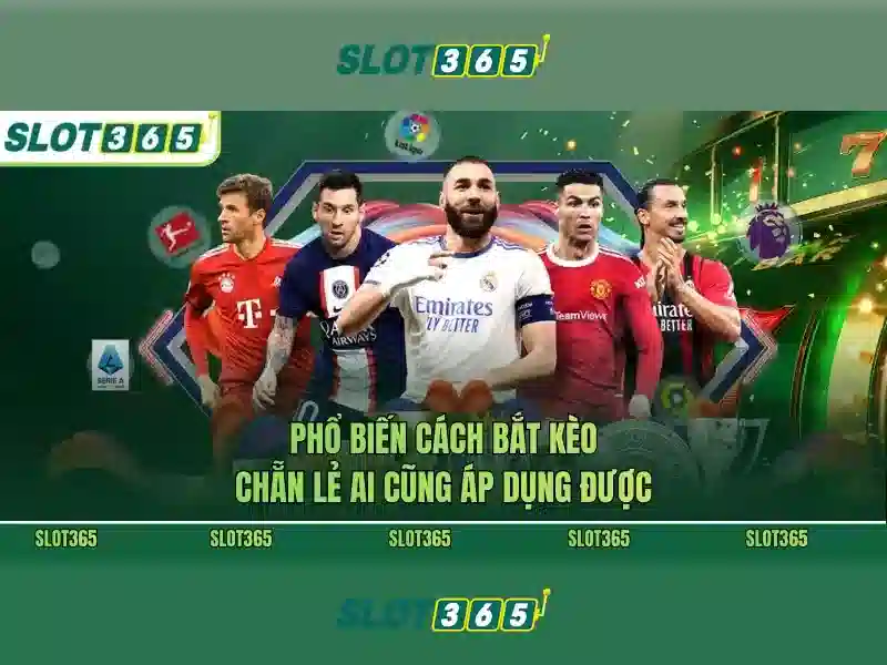 Slot365 có hợp pháp không: đánh giá và giải đáp 1 Đăng Nhập