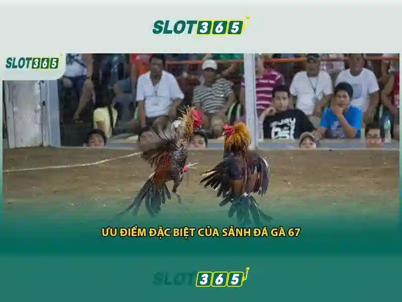 slot365 game – Tổng quan, trải nghiệm và review Slot365 1 Đăng Nhập