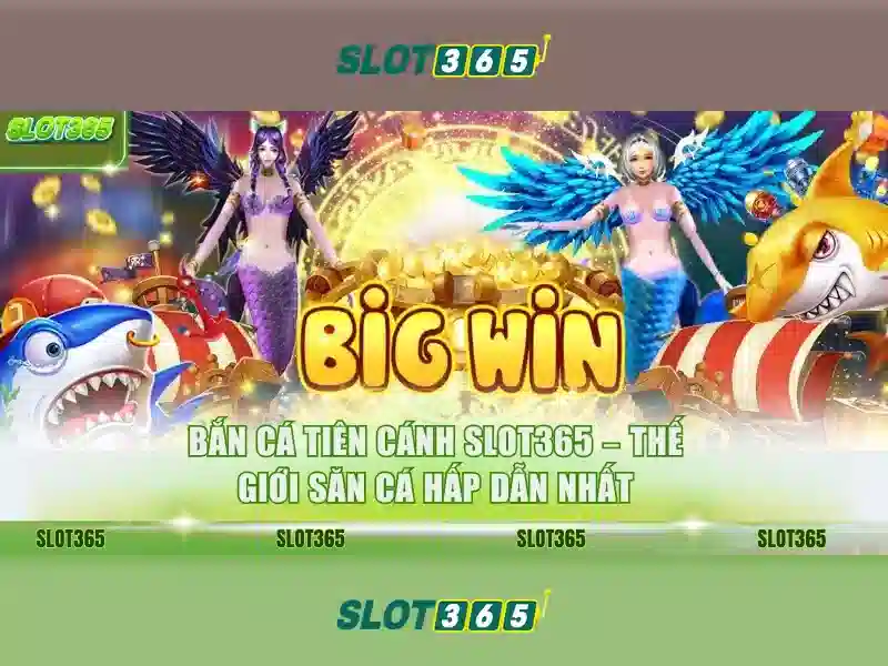 Slot365 có hợp pháp không: đánh giá và giải đáp Go88