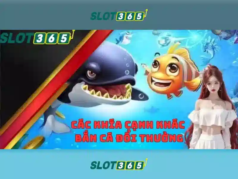Slot365 là gì? Slot365 là gì?