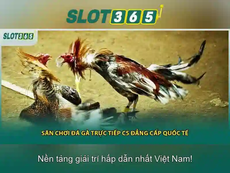 Đánh giá tổng quan và kết luận Đánh giá tổng quan và kết luận