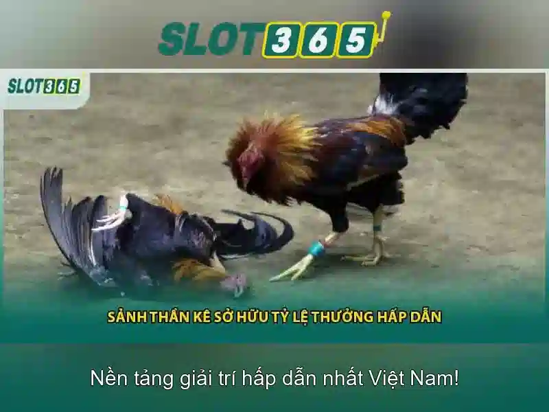 Slot365 - Đánh giá tổng quan về nền tảng casino trực tuyến 1 Đăng Nhập