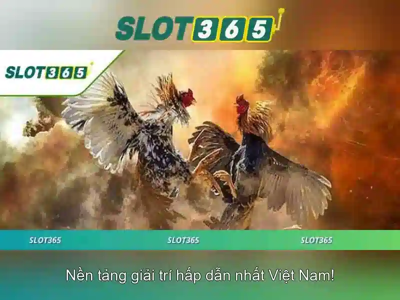 Slot365: Nền tảng chơi slot trực tuyến uy tín tại Việt Nam Go88