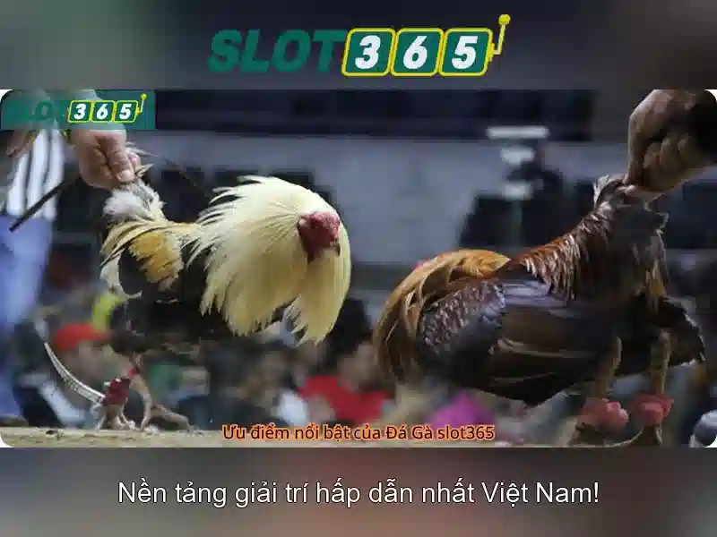 Slot365: Đánh giá tổng quát và hướng dẫn chơi 1 Đăng Nhập