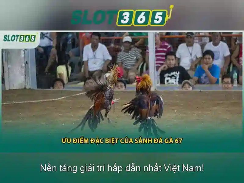 Ưu điểm của Slot365\n<h3>Danh mục trò chơi và trải nghiệm người dùng</h3>\n<p>Người chơi có thể lọc nhanh theo thể loại, mức cược và tính năng đặc biệt. Giao diện thiết kế tối giản giúp người chơi dễ dàng tìm thấy trò chơi yêu thích ngay từ lần truy cập đầu tiên.</p>\n<h4>An toàn thanh toán và bảo mật</h4>\n<p>Slot365 áp dụng các chuẩn SSL và các phương thức thanh toán phổ biến để đảm bảo an toàn cho giao dịch. Chính sách trả thưởng rõ ràng cùng với hỗ trợ khách hàng nhanh nhạy giúp người chơi yên tâm.</p>