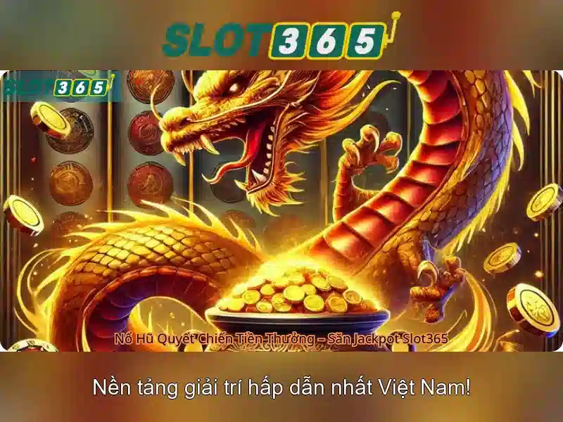 Trải nghiệm người dùng và giao diện