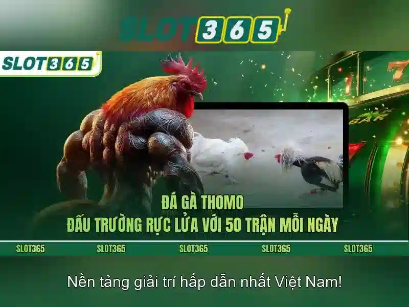 Slot365: Đánh giá và hướng dẫn chơi slot trực tuyến uy tín Go88