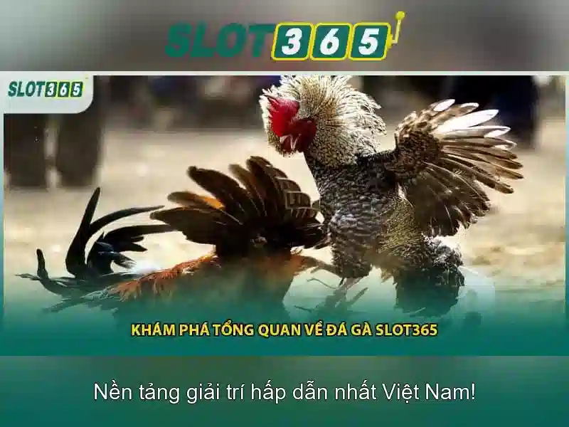 Đa dạng trò chơi và chất lượng tuyệt vời