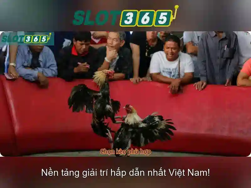 Slot365: Khám phá nền tảng slot hàng đầu Go88