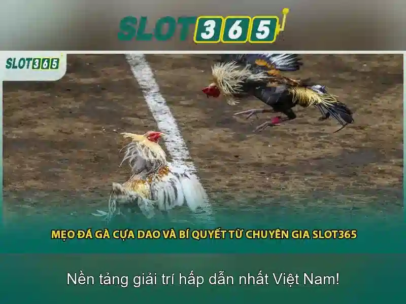 Slot365: Tổng quan về nền tảng chơi slot trực tuyến hàng đầu 1 Đăng Nhập