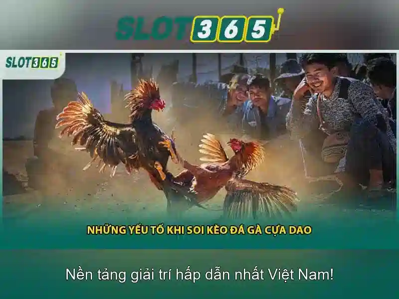 Kết luận và định hướng tương lai Kết luận và định hướng tương lai