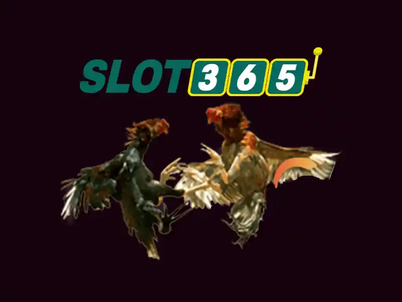 An toàn và thanh toán\n\n<h2>Khuyến mãi và ưu đãi</h2>\n<p>Slot365 thường xuyên có ưu đãi chào mừng, vòng quay miễn phí và chương trình khách hàng thân thiết, đi kèm quy tắc wagering rõ ràng.</p>\n\n<h2>Kết luận</h2>\n<p>Nếu bạn tìm kiếm một địa chỉ slot trực tuyến đáng tin cậy với đa dạng trò chơi và dịch vụ khách hàng tốt, Slot365 là một lựa chọn đáng cân nhắc để trải nghiệm giải trí casino trực tuyến.</p> An toàn và thanh toán\n\n<h2>Khuyến mãi và ưu đãi</h2>\n<p>Slot365 thường xuyên có ưu đãi chào mừng, vòng quay miễn phí và chương trình khách hàng thân thiết, đi kèm quy tắc wagering rõ ràng.</p>\n\n<h2>Kết luận</h2>\n<p>Nếu bạn tìm kiếm một địa chỉ slot trực tuyến đáng tin cậy với đa dạng trò chơi và dịch vụ khách hàng tốt, Slot365 là một lựa chọn đáng cân nhắc để trải nghiệm giải trí casino trực tuyến.</p>
