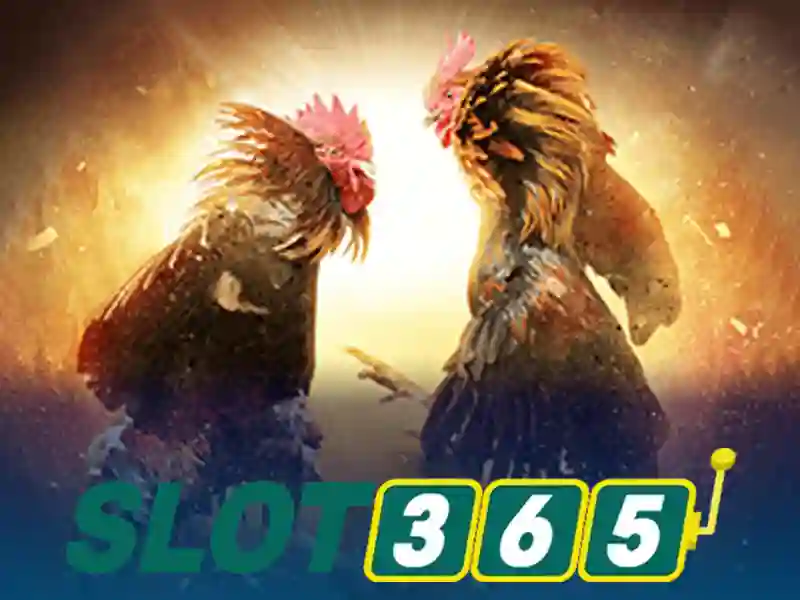 giftcode Slot365 – Liên kết Slot365 và ưu đãi 1 Đăng Nhập