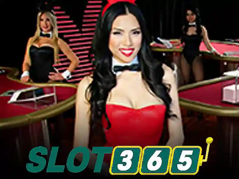 Trải nghiệm người dùng và phản hồi cộng đồng của live slot365