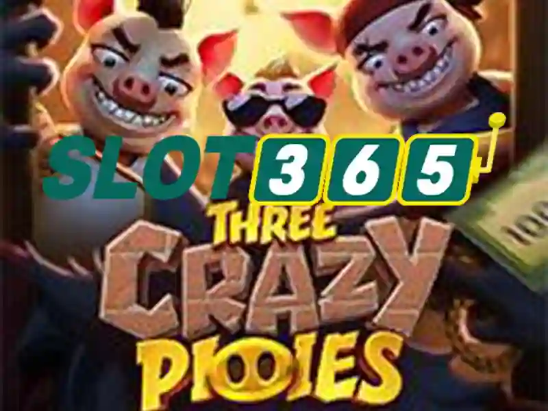 Slot365 là gì? Slot365 là gì?